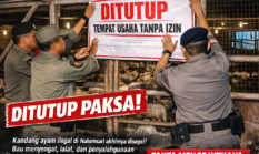 berita-pilihan-foto